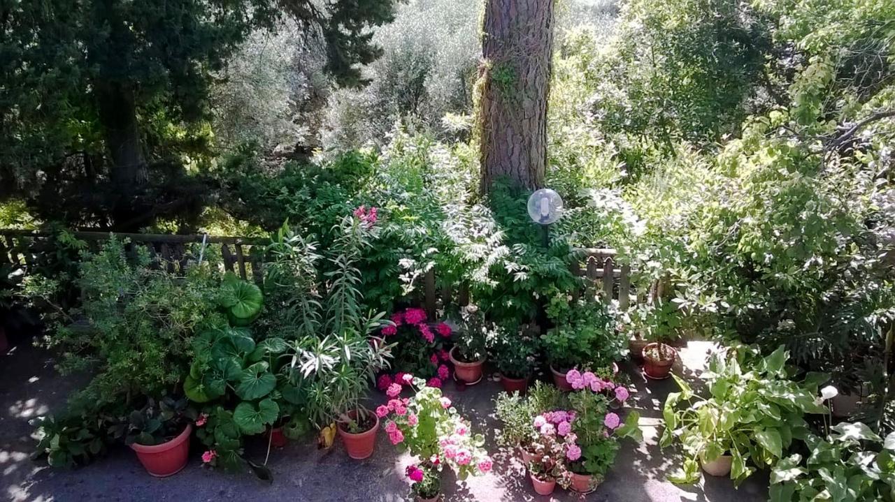 Apartamento A Casa Di Carla Terracina Exterior foto